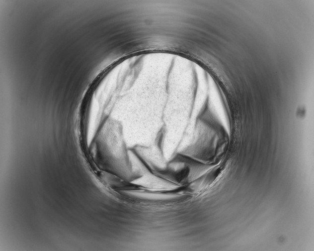 X0000101961034200808151310