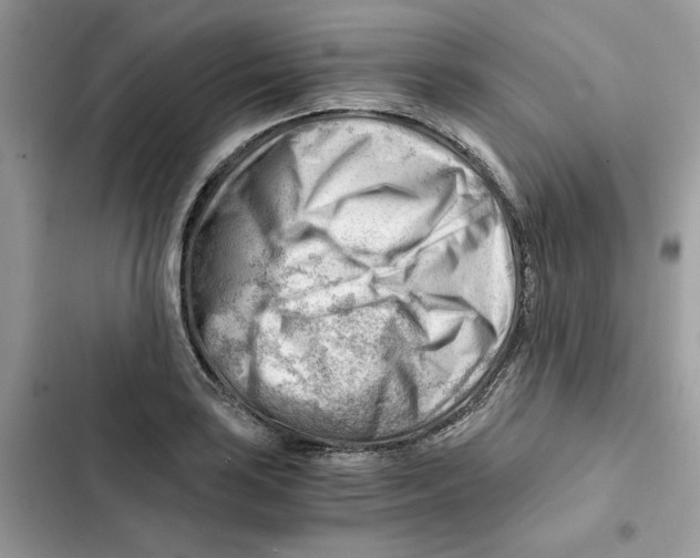 X0000101961035200808151310