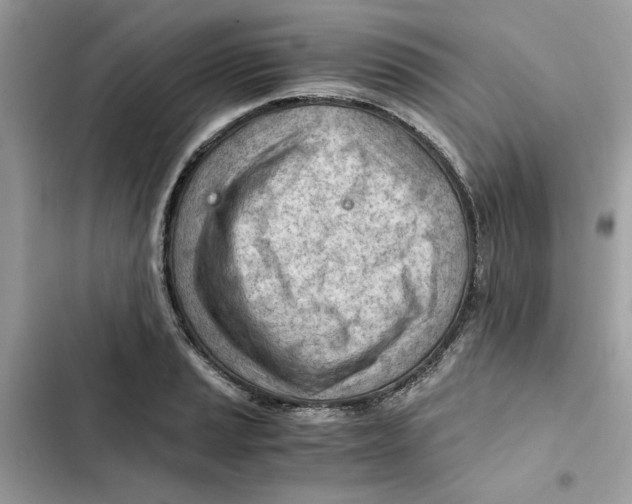 X0000101961037200808151310