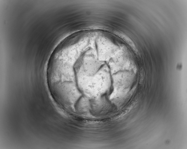 X0000101961039200808151310