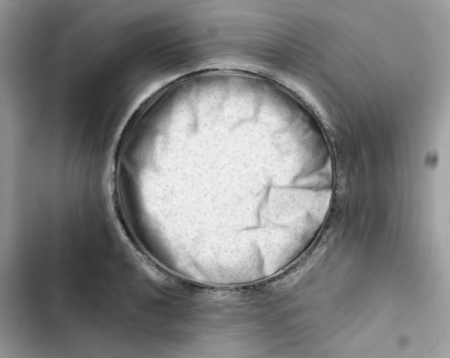 X0000101961040200808151310