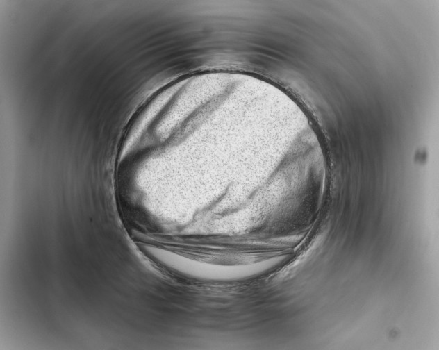 X0000101961041200808151310