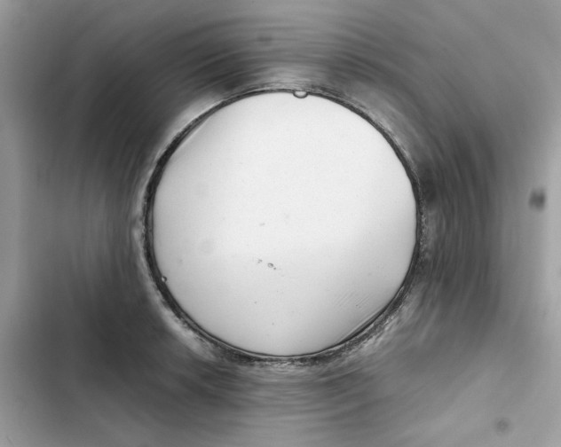 X0000101961042200808151310