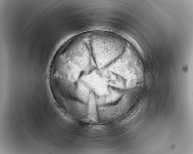 X0000101961043200808151310