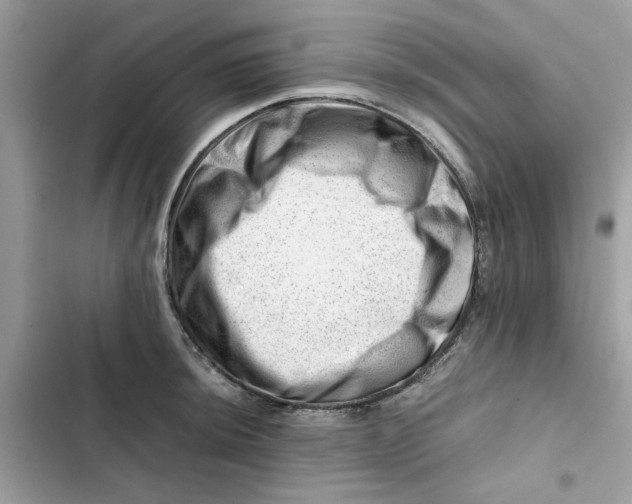 X0000101961044200808151310