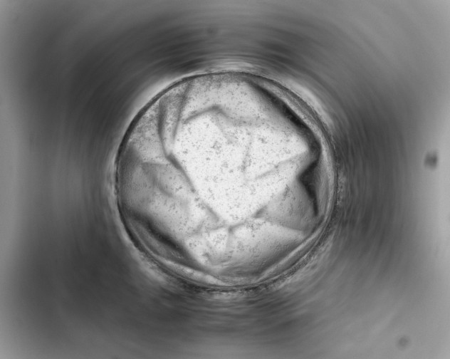 X0000101961047200808151310