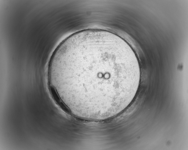 X0000101961048200808151310