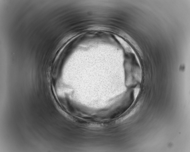 X0000101961049200808151310