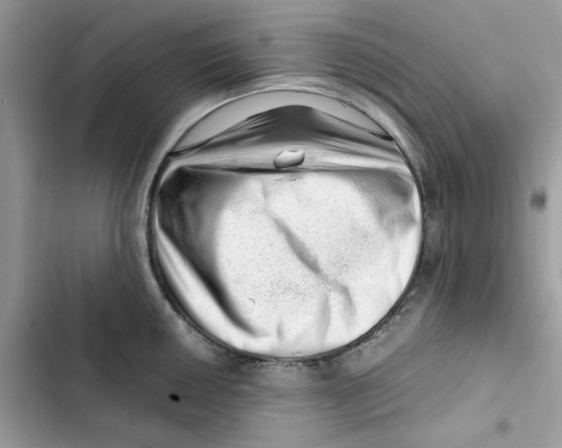X0000101961050200808151310