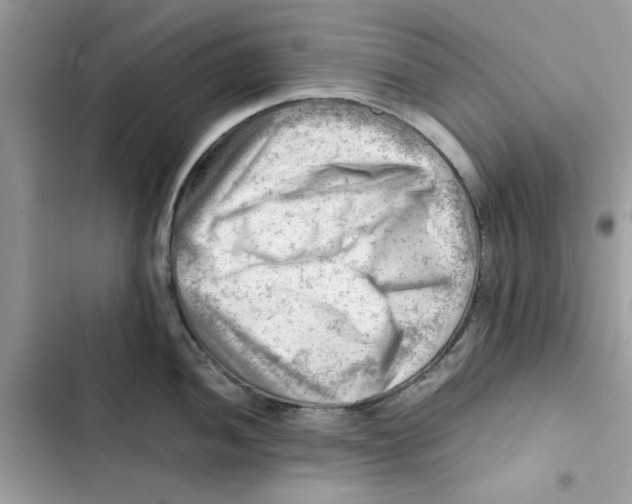 X0000101961052200808151310