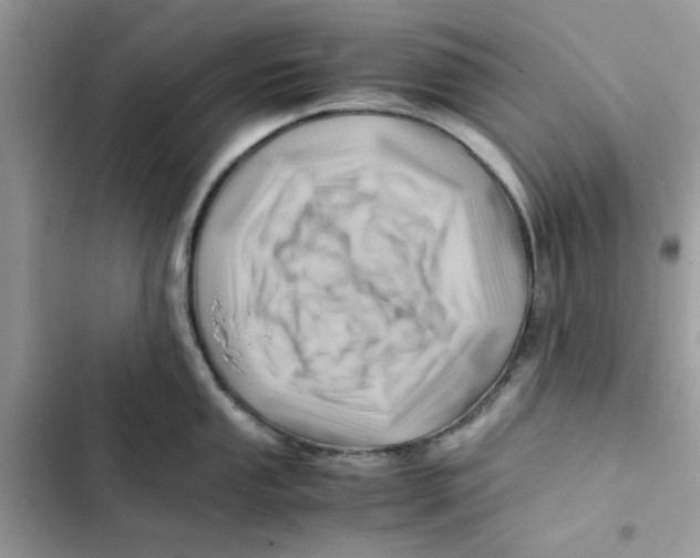 X0000101961053200808151310