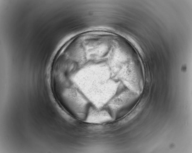 X0000101961054200808151310