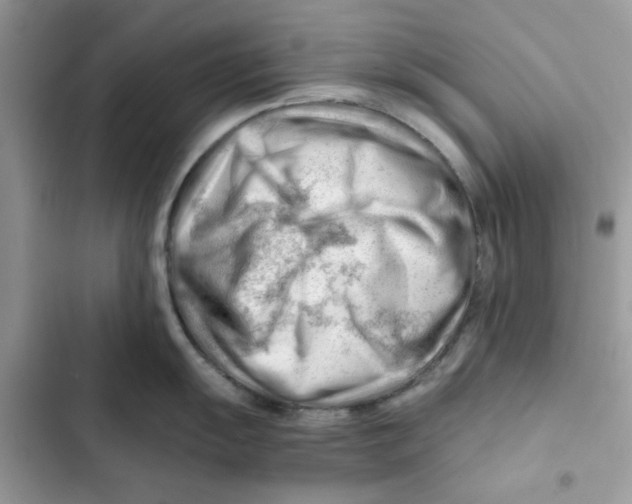 X0000101961055200808151310