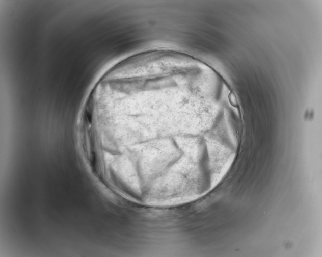 X0000101961056200808151311