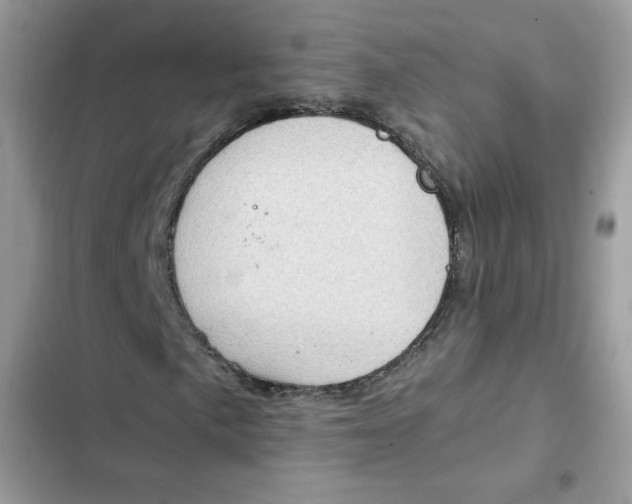 X0000101961057200808151310