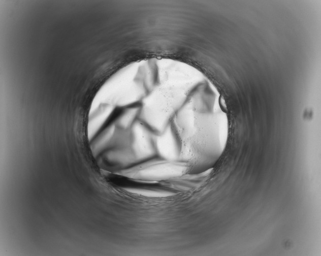 X0000101961058200808151310