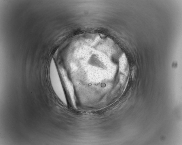 X0000101961059200808151310