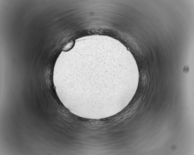 X0000101961060200808151310