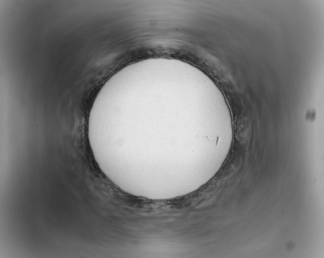 X0000101961061200808151310