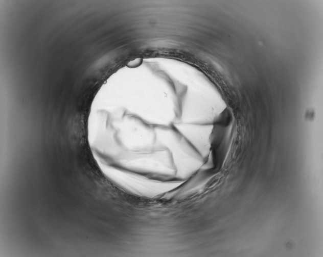 X0000101961062200808151310