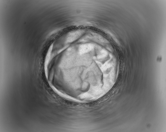 X0000101961063200808151310