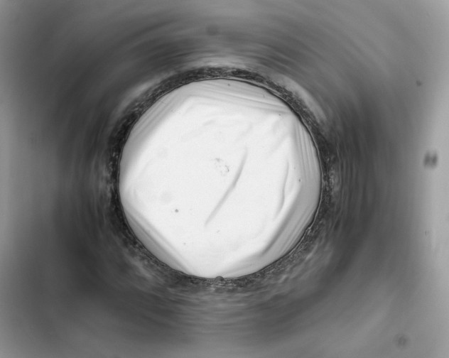 X0000101961064200808151310