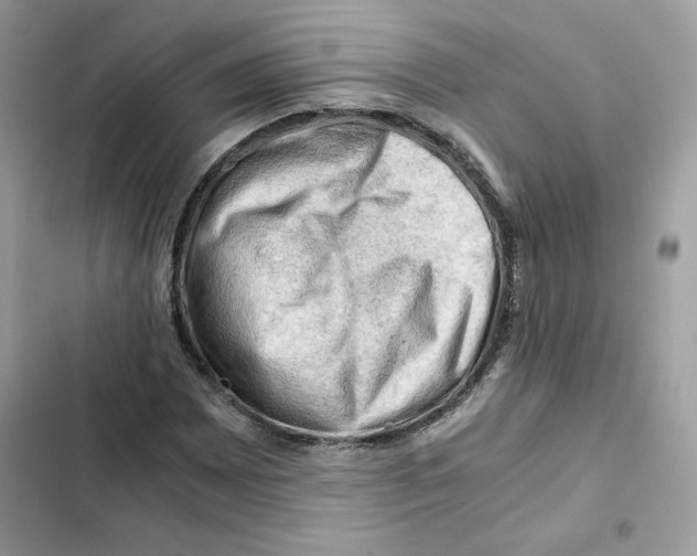X0000101961065200808151310