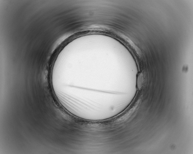 X0000101961066200808151310