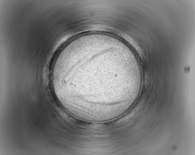 X0000101961067200808151310