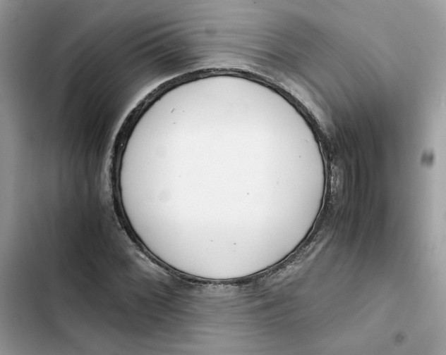 X0000101961068200808151310