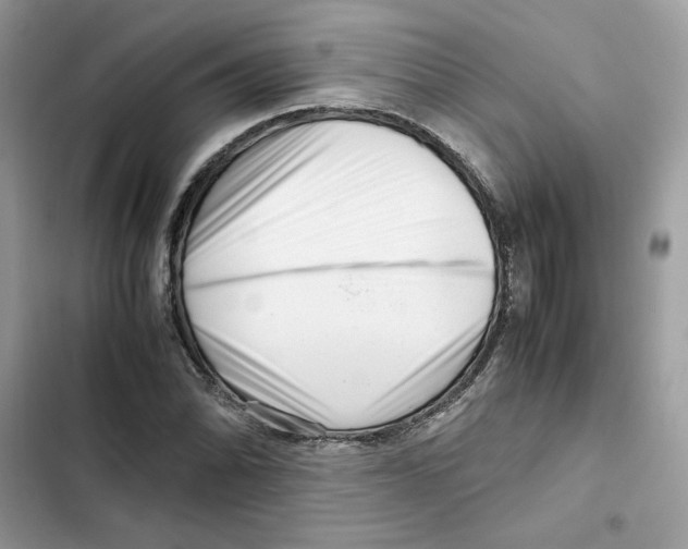 X0000101961070200808151310