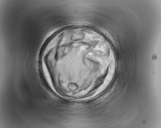X0000101961071200808151310
