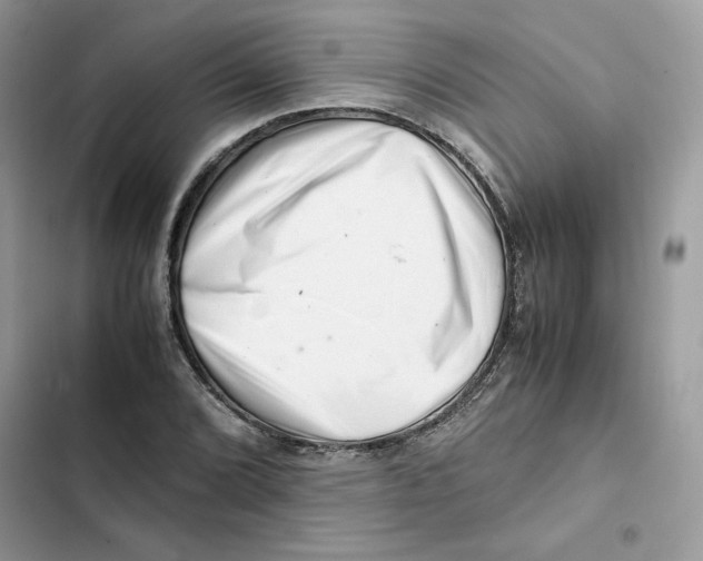 X0000101961072200808151310