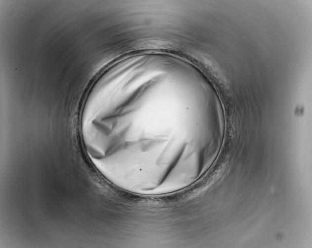 X0000101961073200808151310