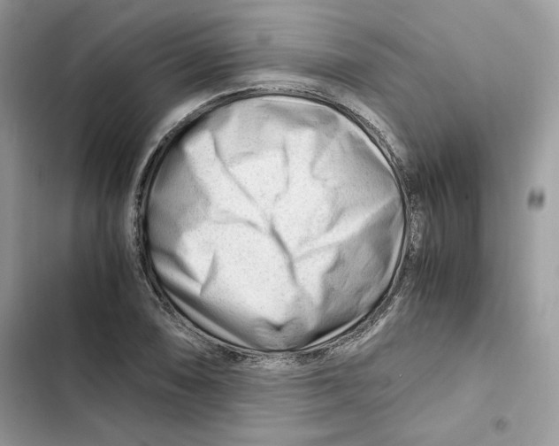 X0000101961074200808151310