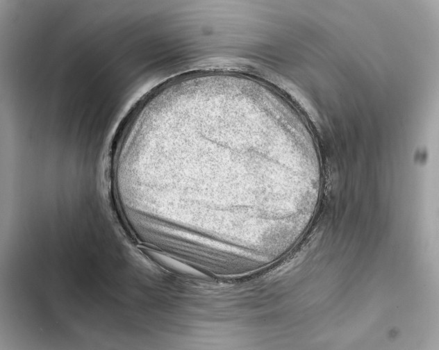 X0000101961075200808151310