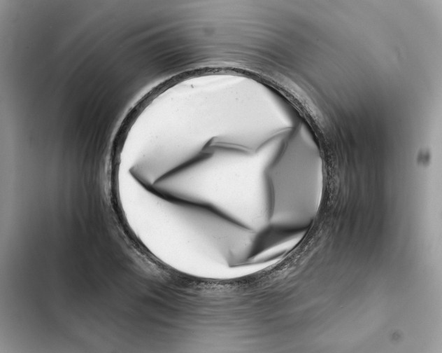 X0000101961076200808151310