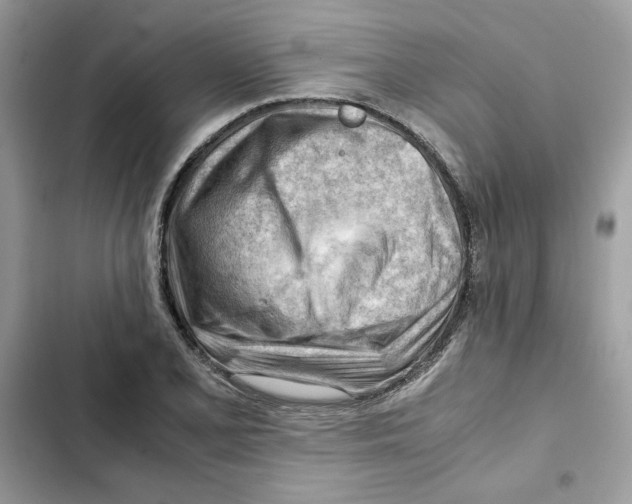 X0000101961077200808151310