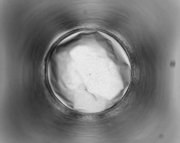 X0000101961078200808151310