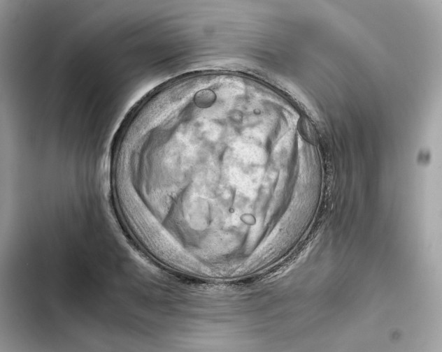 X0000101961079200808151310