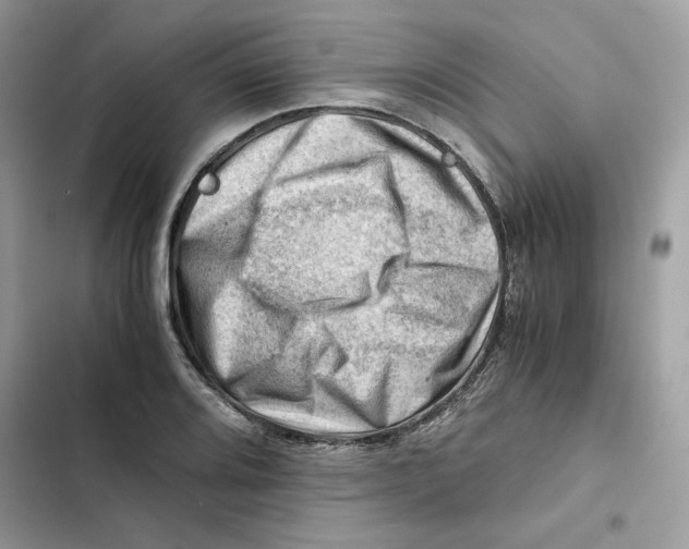 X0000101961080200808151309