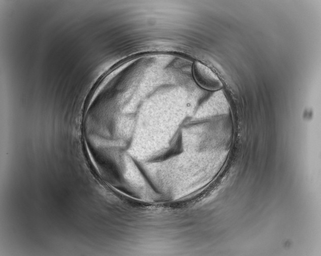 X0000101961081200808151309