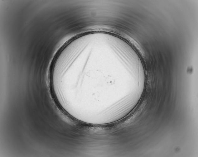 X0000101961082200808151309