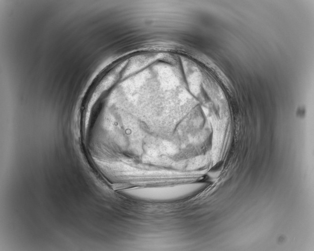X0000101961083200808151309