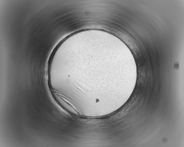 X0000101961084200808151309