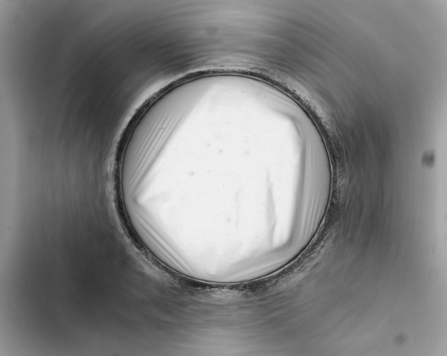 X0000101961085200808151309