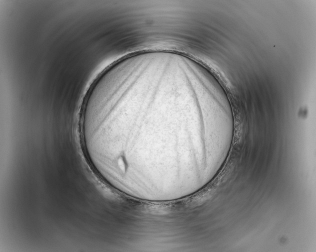 X0000101961086200808151309