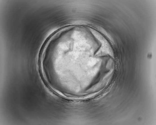 X0000101961087200808151309