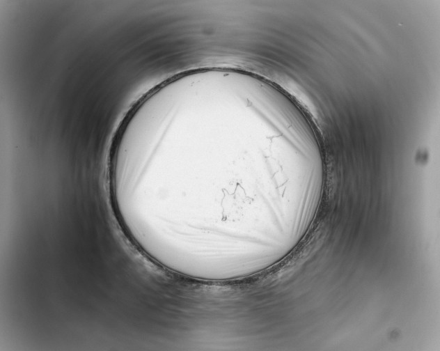 X0000101961088200808151309