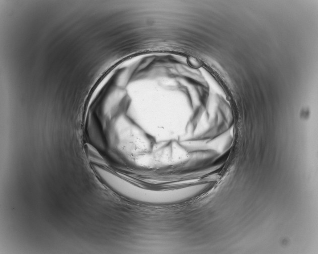 X0000101961089200808151309